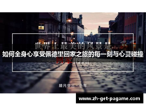 如何全身心享受佩德里回家之旅的每一刻与心灵碰撞